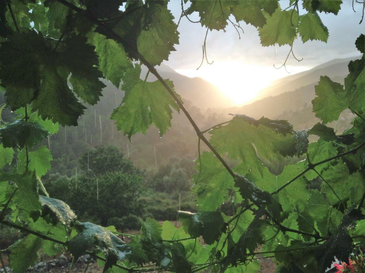 Gite A Funtana Manso Esterno foto